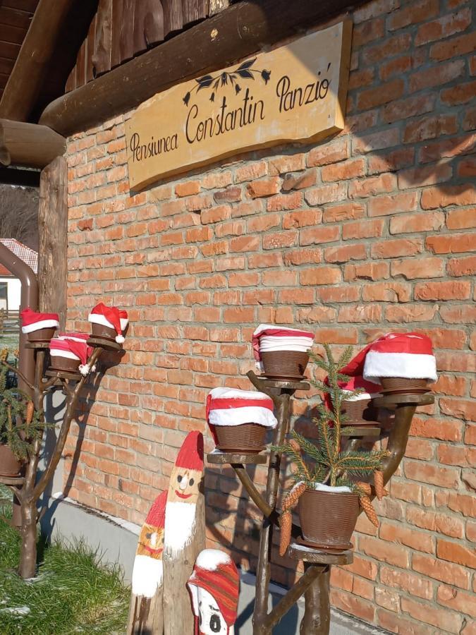 Constantin Panzio Bed & Breakfast Praid Dış mekan fotoğraf