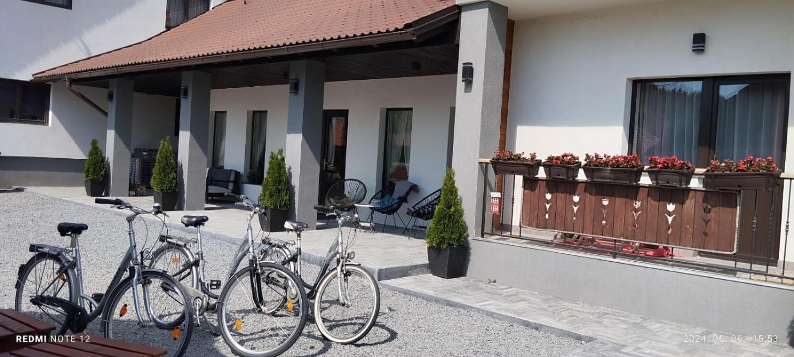 Constantin Panzio Bed & Breakfast Praid Dış mekan fotoğraf